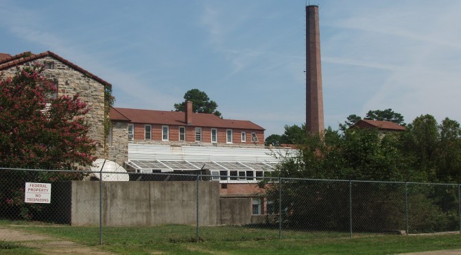 Aborted babies incinerated to heat UK hospitals