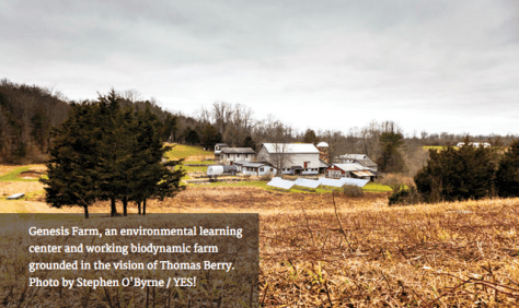 201503331tu-genesis-farm-stephen-obyrne-yes-magazine